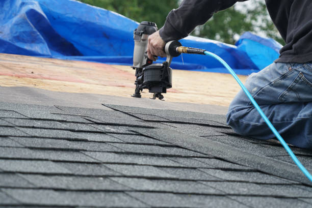 Best Roof Ventilation Installation  in Waynesboro, TN